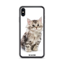 Load image into Gallery viewer, maine coon kitten sale