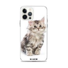 Load image into Gallery viewer, maine coon character