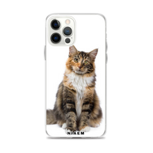 Load image into Gallery viewer, maine coon size