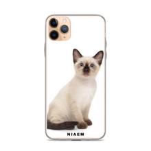 Load image into Gallery viewer, siamese cats for sale