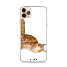 Load image into Gallery viewer, maine coon kittens for sale near me