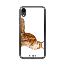 Load image into Gallery viewer, maine coon character